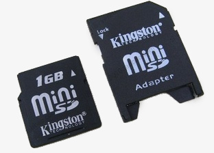 1GB_Micro_Kingston_Memory_Card_1.jpg
