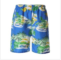 Green_Blue_Casual_Fashion_Cotton_Men__s_Beach_Shorts_1.jpg